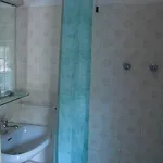 Edera 2*